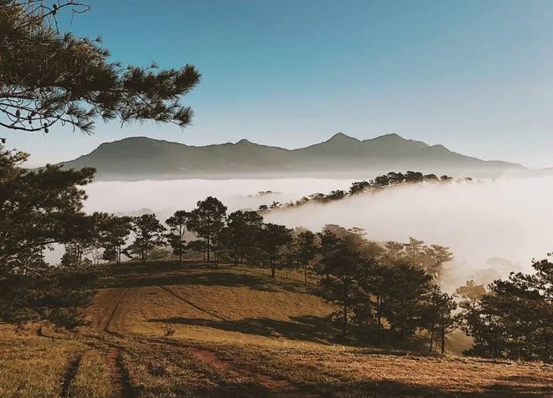 Đồi Đa Phú ở đâu?
