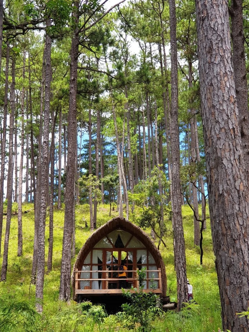 Andante Nature Retreat – Không gian có đáng như lời đồn?