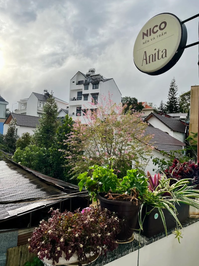 Ở hay không tại Anita Homestay Đà Lạt? Review chân thực Ở hay không tại Anita Homestay Đà Lạt? Review chân thực