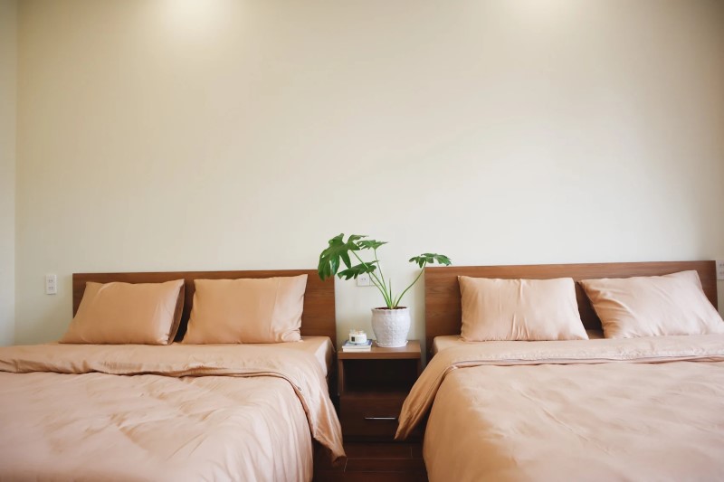 Ở hay không tại Anita Homestay Đà Lạt? Review chân thực Ở hay không tại Anita Homestay Đà Lạt? Review chân thực