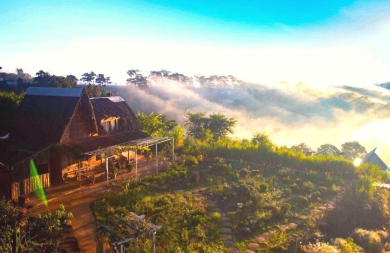 Bình Yên Homestay Đà Lạt có gì? Chia sẻ từ chuyến đi thật Bình Yên House Đà Lạt