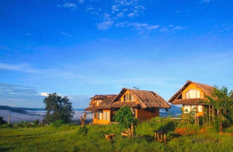 Bình Yên Homestay Đà Lạt có gì? Chia sẻ từ chuyến đi thật Bình Yên House Đà Lạt