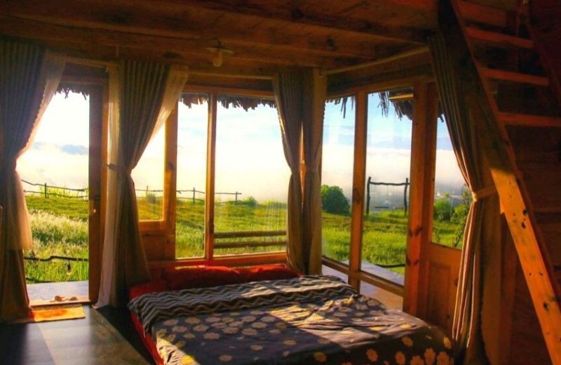 Bình Yên Homestay Đà Lạt có gì? Chia sẻ từ chuyến đi thật Bình Yên House Đà Lạt