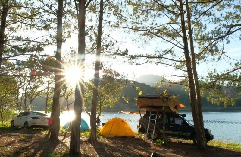 cam trai da lat tu tuc 1