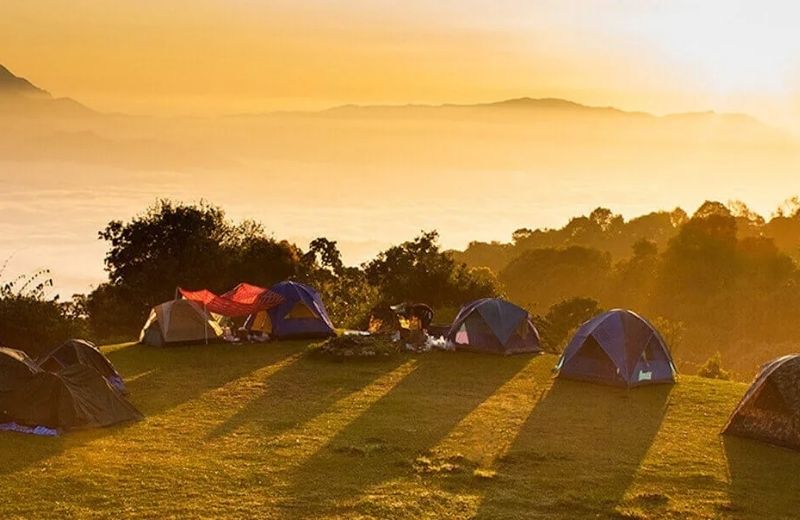 cam trai da lat tu tuc 3