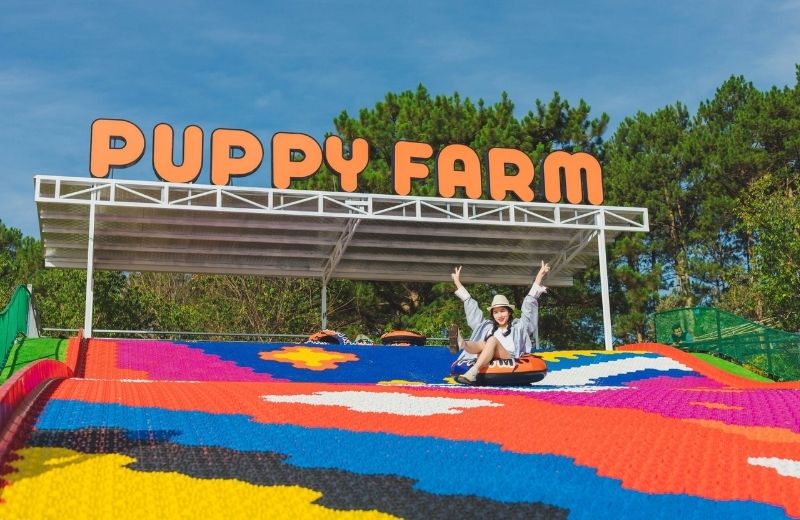 chup hinh tet o da lat 1