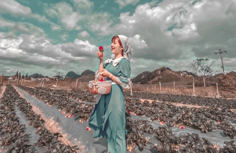 cong thuc chinh anh tone da lat 3