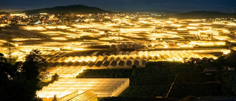 da lat tu tren cao 2