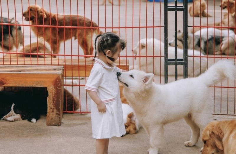 dia diem du lich da lat cho tre em 1