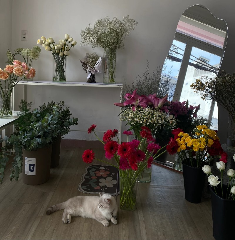 DREAM FLORISTS - Tiệm Hoa Tươi Trong Mơ