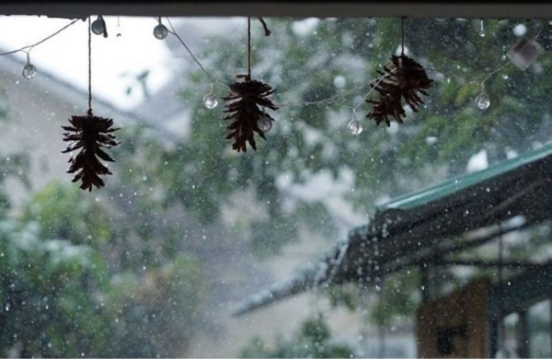 Du lịch Đà Lạt mùa mưa và những điều bạn nên biết du lich da lat mua mua 3