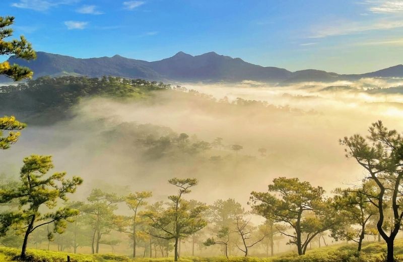 du lich da lat sau tet 1