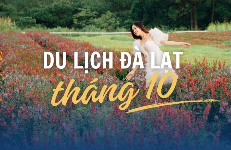 du lich da lat thang 10 1