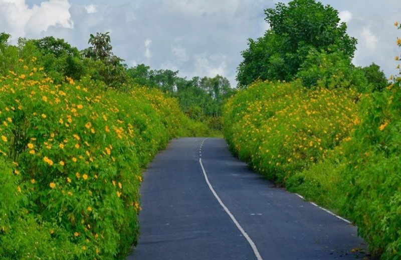 du lich da lat thang 10 2