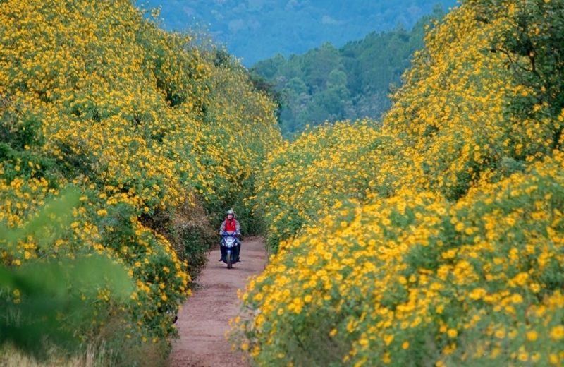 du lich da lat thang 11 1