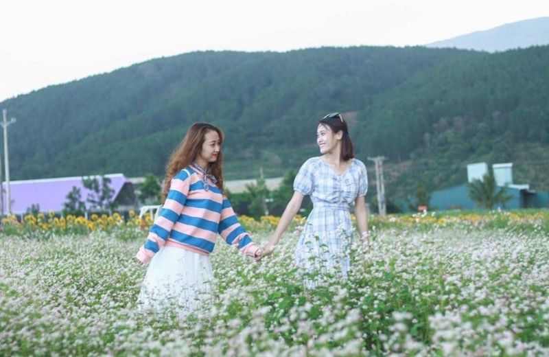 du lich da lat thang 11 2