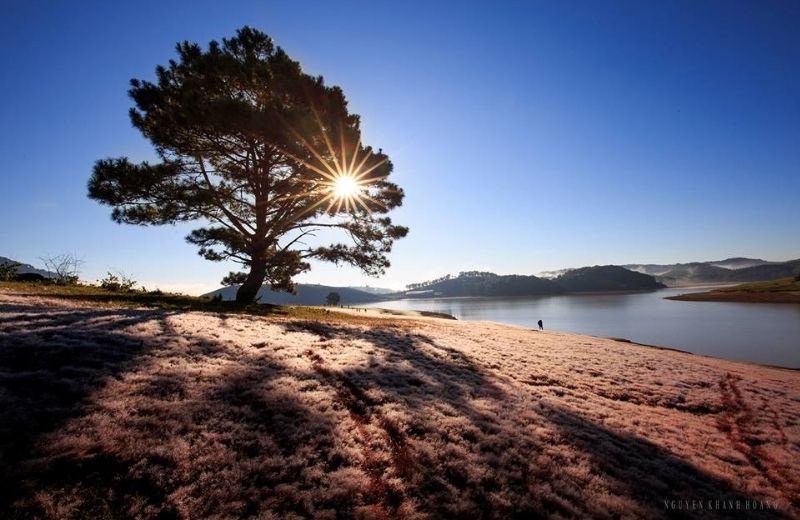 du lich da lat thang 11 3