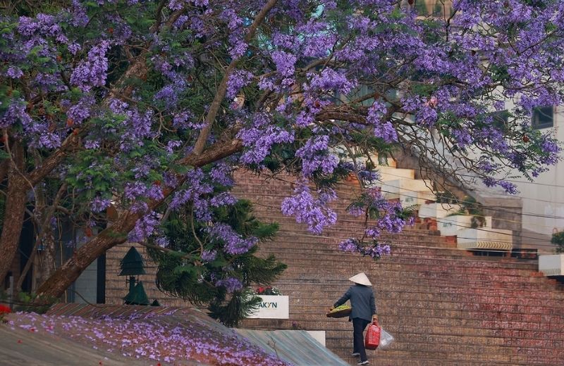 du lich da lat thang 3 1