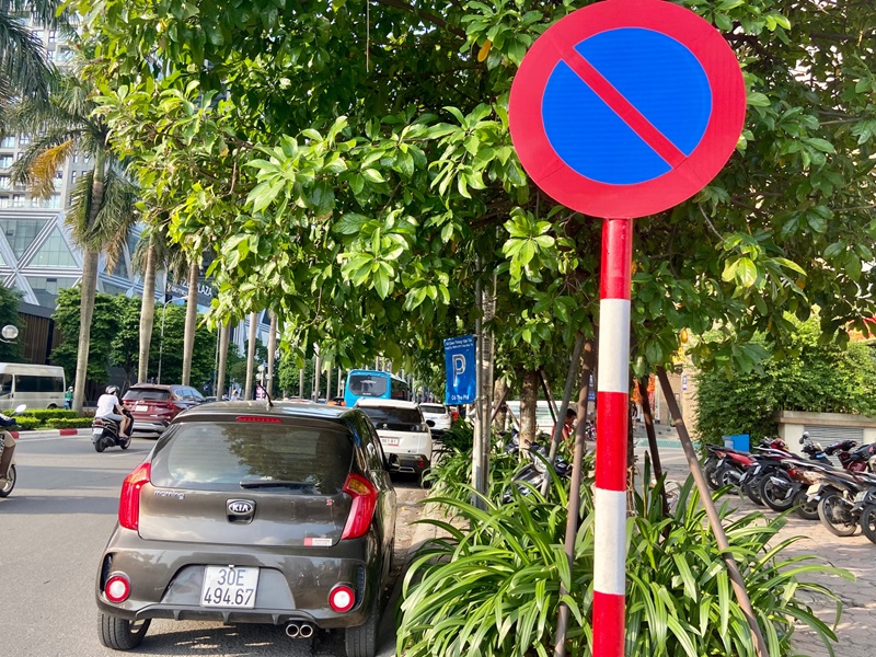 duong-cam-dau-xe-o-da-lat