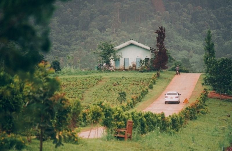 Đường Nhân Duyên: Con đường tình yêu lãng mạn nhất Đà Lạt duong nhan duyen da lat 3