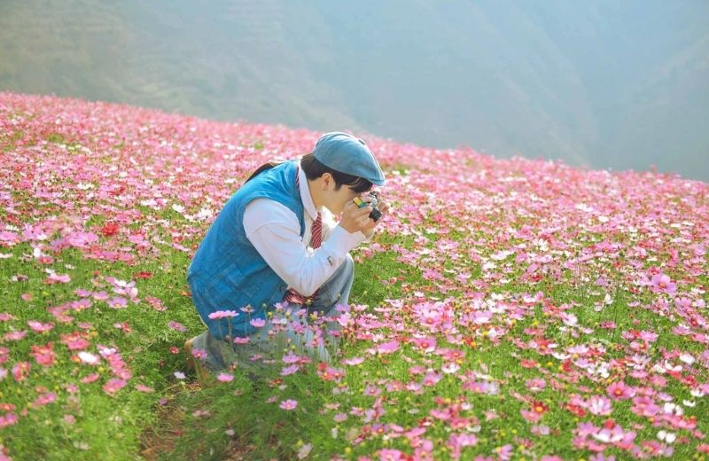 hoa canh buom da lat 2