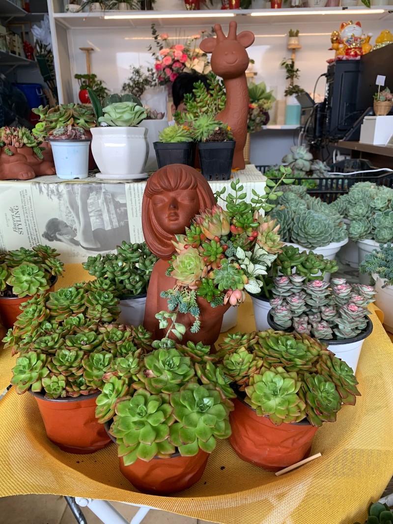 HOA TƯƠI 24h - TIỆM HOA TƯƠI Đà Lạt