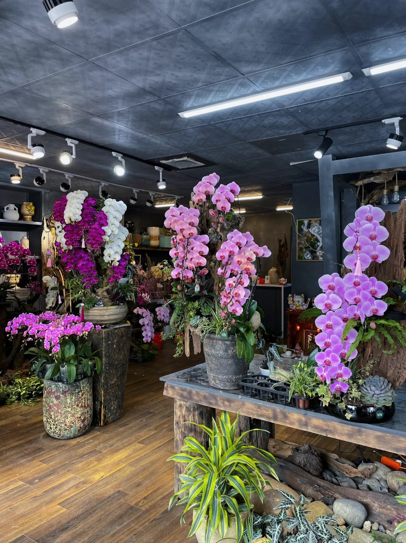 Hoa Tươi Mây Flower