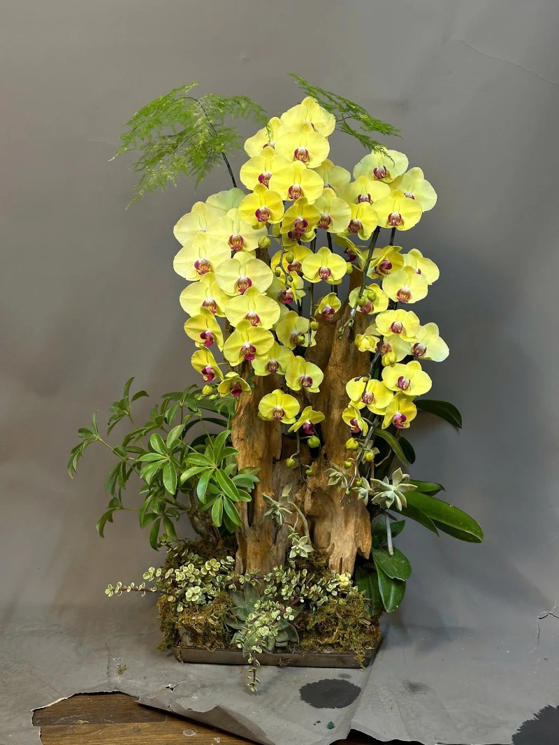 Hoa Tươi Mây Flower