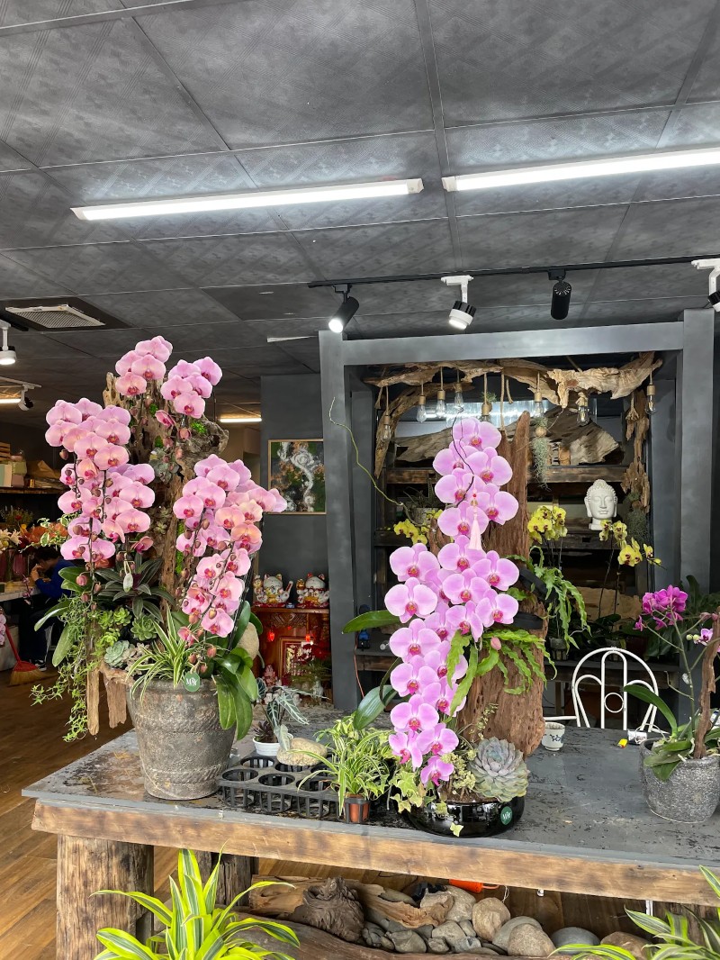 Hoa Tươi Mây Flower