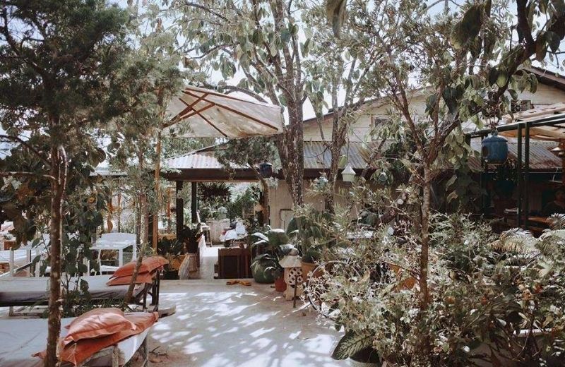 homestay da lat duoi 500k 2