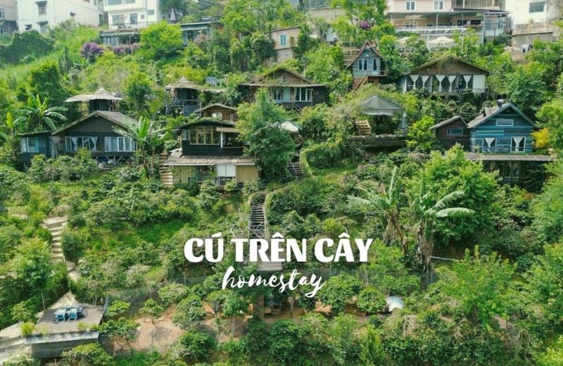 homestay view thung lung da lat 1