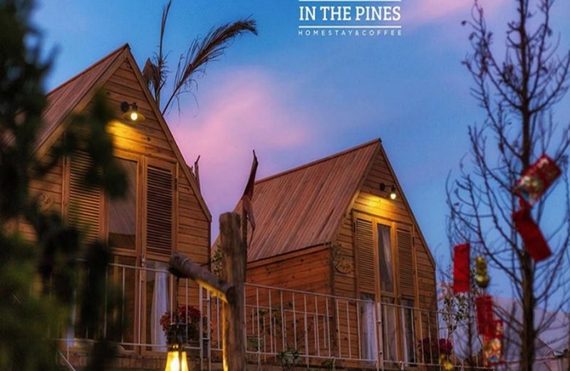 in the pines homestay da lat 1