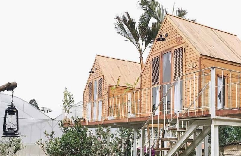 in the pines homestay da lat 2