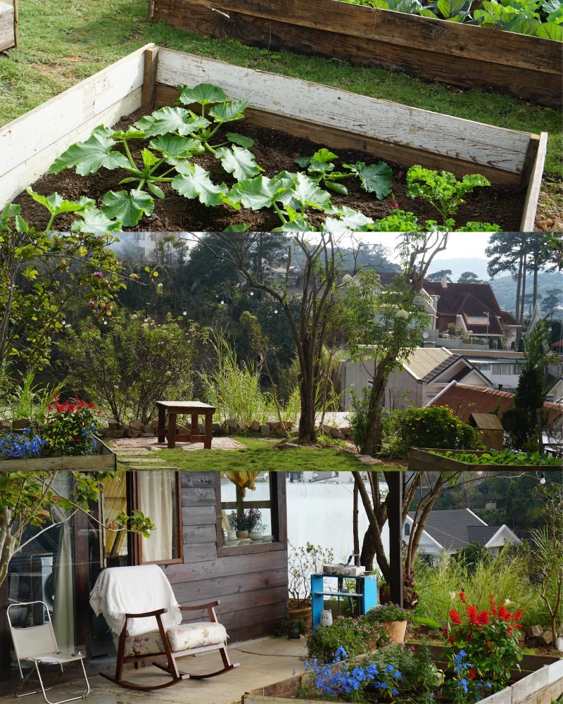 Trải nghiệm Little Fish Homestay Đà Lạt từ du khách từng lưu trú