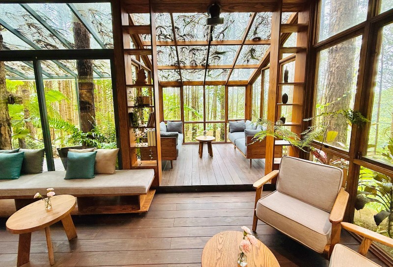 Chia sẻ trải nghiệm tại Mơ Stay Đà Lạt cho người sắp thuê Chia sẻ trải nghiệm tại Mơ Stay Đà Lạt cho người sắp thuê