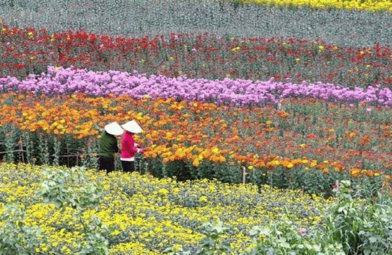 ngoi lang du lich da lat 3