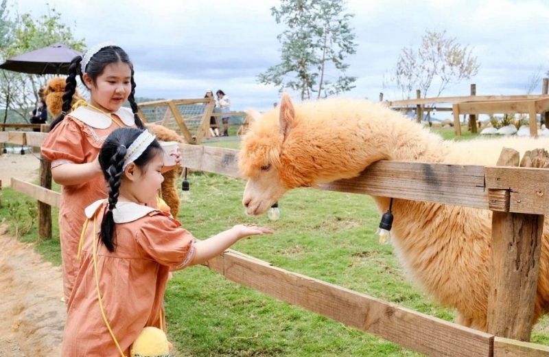 nong trai cho be o da lat 2