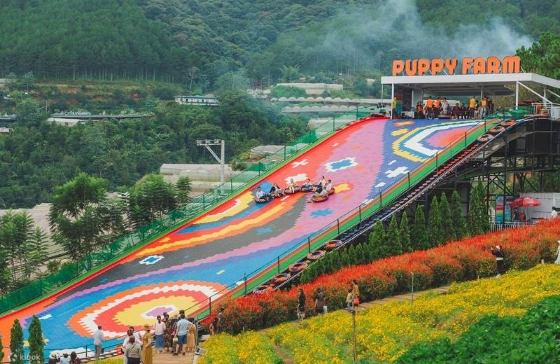 nong trai cho be o da lat 3