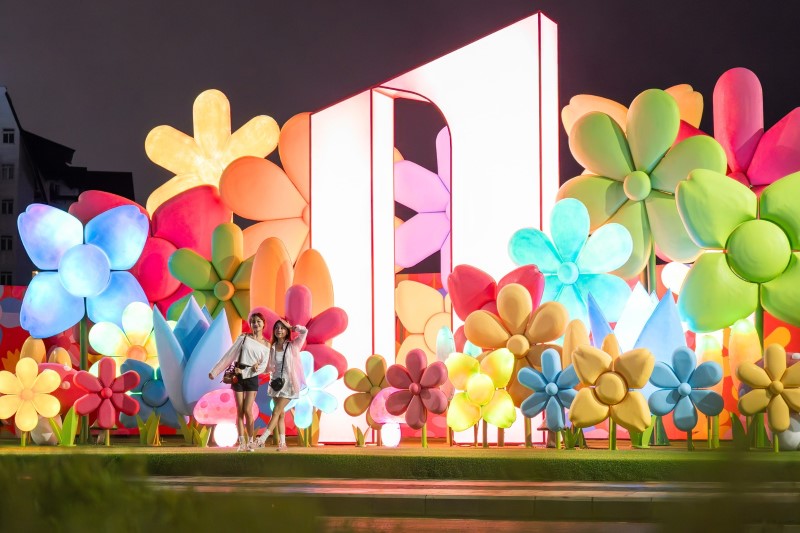 Rừng hoa Ánh Sáng Đà Lạt