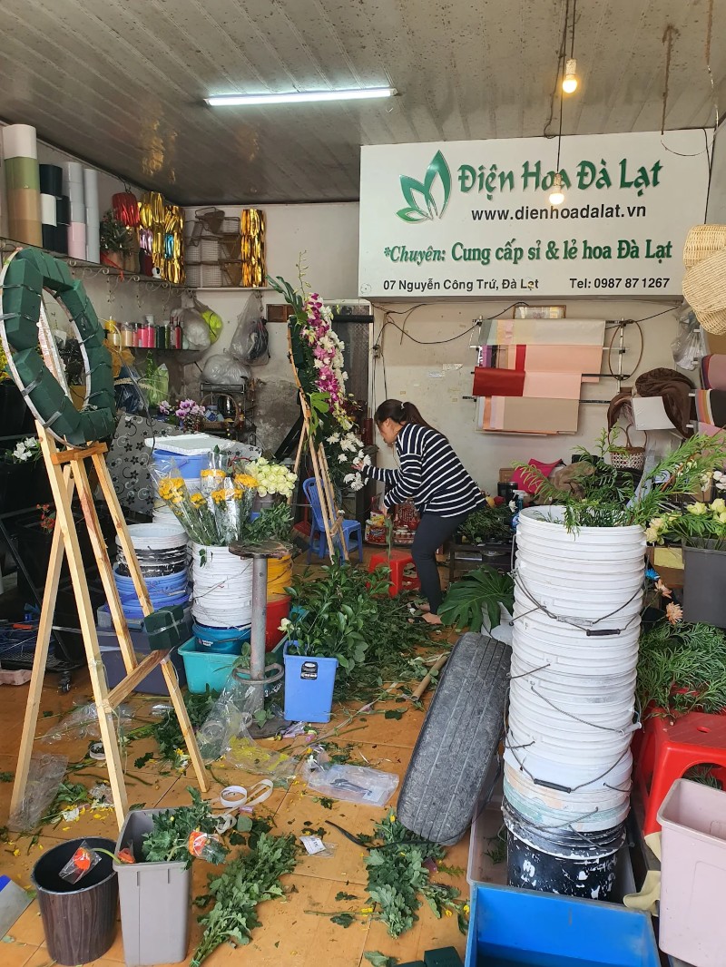 Shop Điện Hoa Đà Lạt