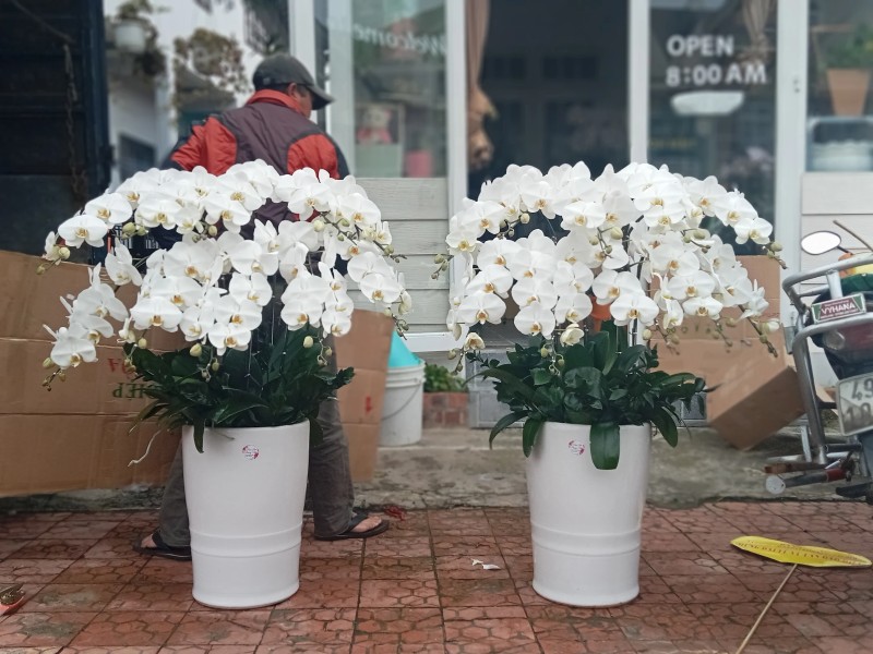 Shop Hoa Tươi số 1 Đà Lạt