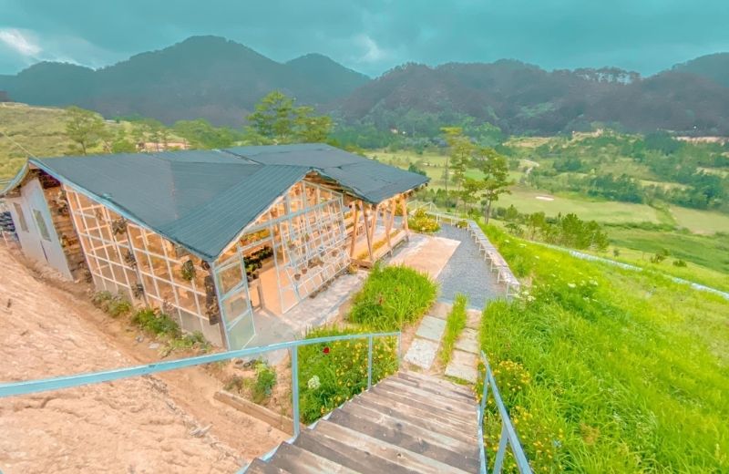 the wilder nest ta nung 2