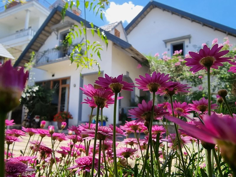 Tía Dú Homestay Đà Lạt có gì đặc biệt? Review chân thật