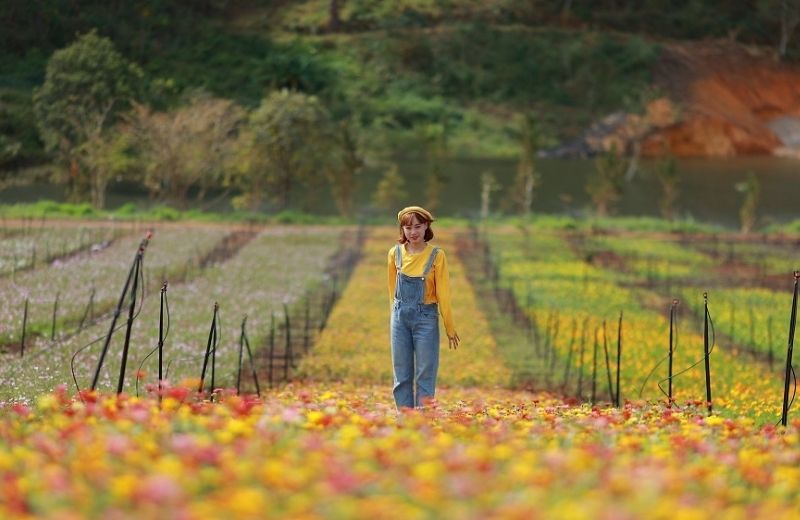 vuon hoa lon nhat da lat 2