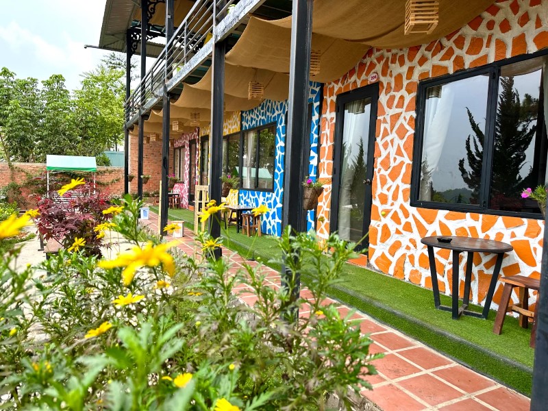 Lưu ý về Windy Hill Homestay Đà Lạt trước khi thuê