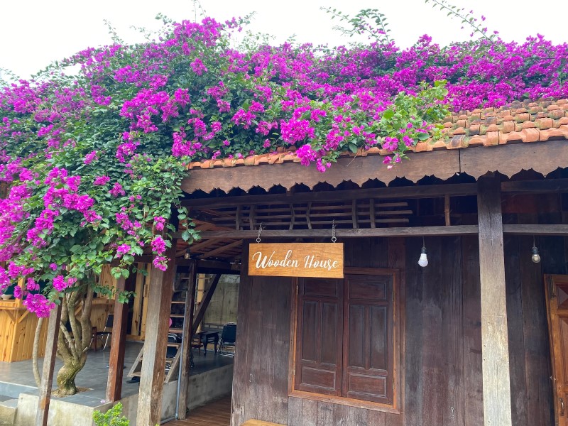 Wooden House Homestay Đà Lạt – Những điều cần biết trước khi đặt