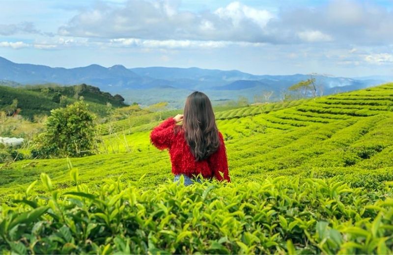 xuan truong da lat 2