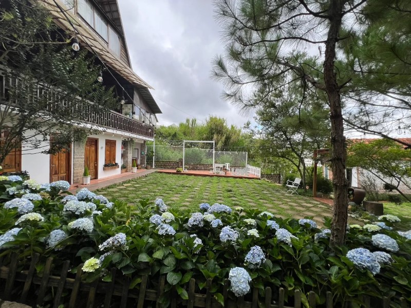 Zen Homestay Đà Lạt có yên tĩnh không? Đánh giá thực tế