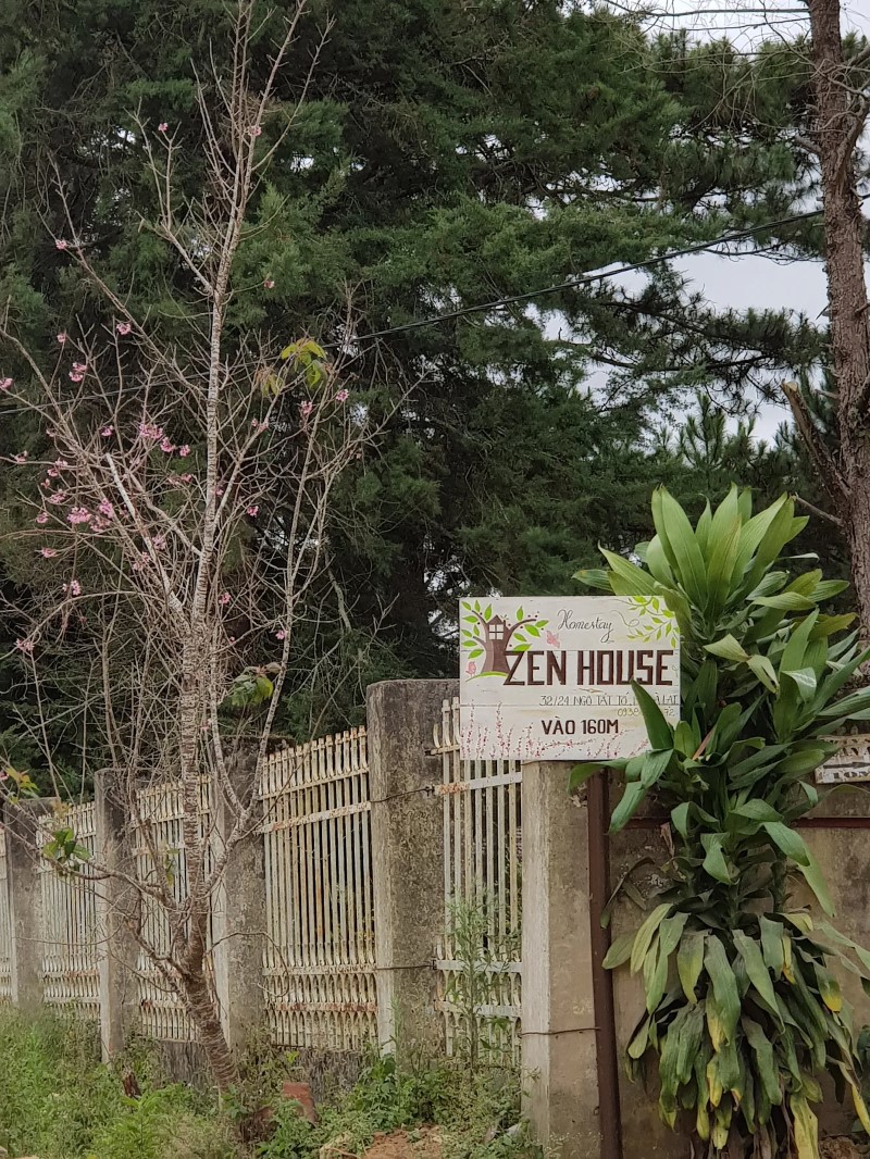 Zen Homestay Đà Lạt có yên tĩnh không? Đánh giá thực tế